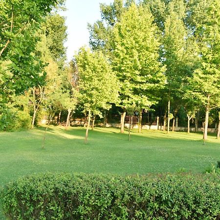 Les Magnolias Hotel Primorsko Bagian luar foto